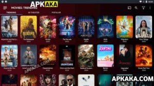 Flix Vision APK