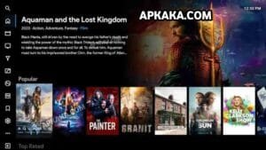 Flix Vision APK