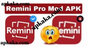 Remini Pro