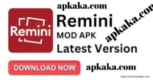 Remini Pro