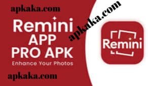 Remini Pro